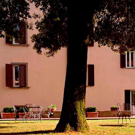Palazzo La Fenice Massa Marittima Exteriér fotografie
